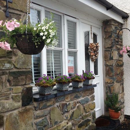 Snowdonia Snug - Studio Style Accommodation Dolgellau Exteriör bild