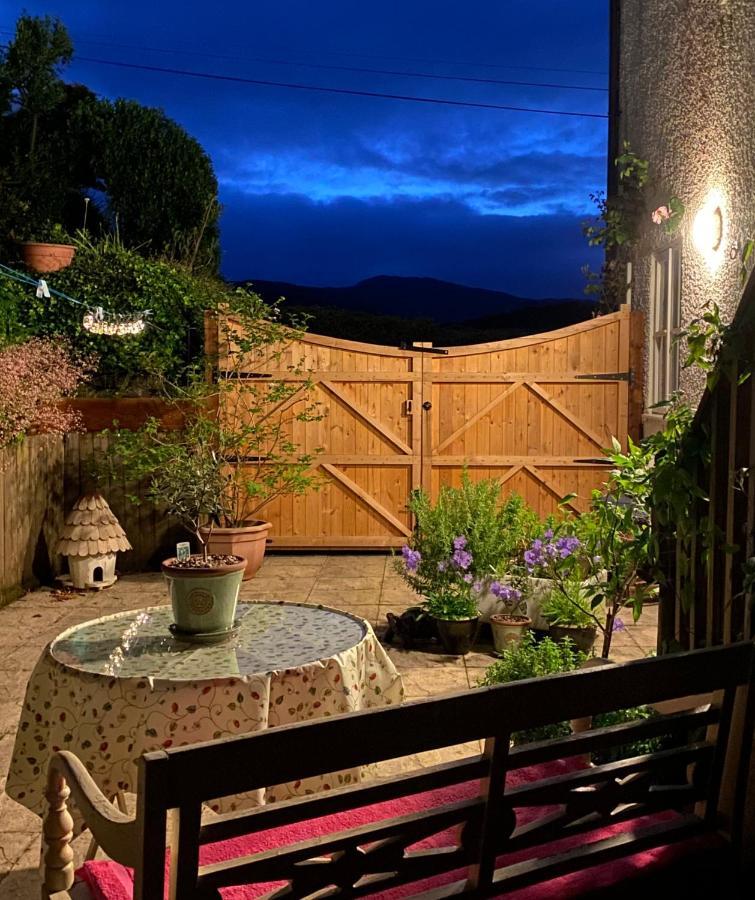 Snowdonia Snug - Studio Style Accommodation Dolgellau Exteriör bild