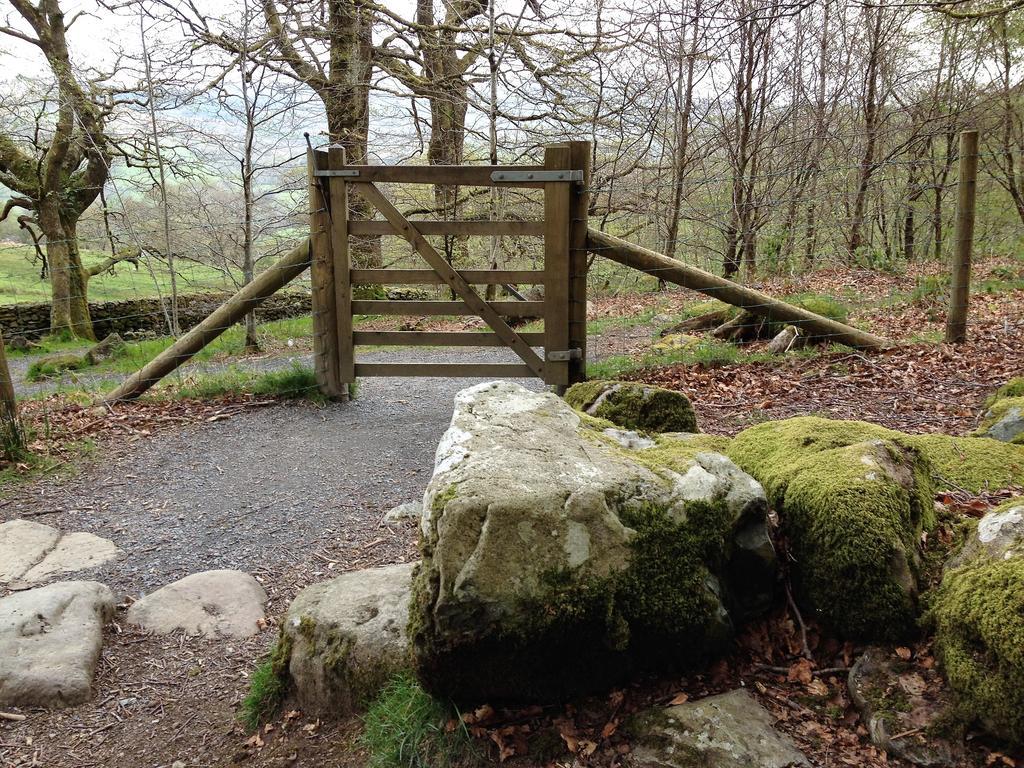 Snowdonia Snug - Studio Style Accommodation Dolgellau Exteriör bild