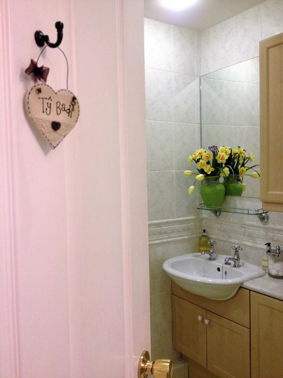 Snowdonia Snug - Studio Style Accommodation Dolgellau Exteriör bild