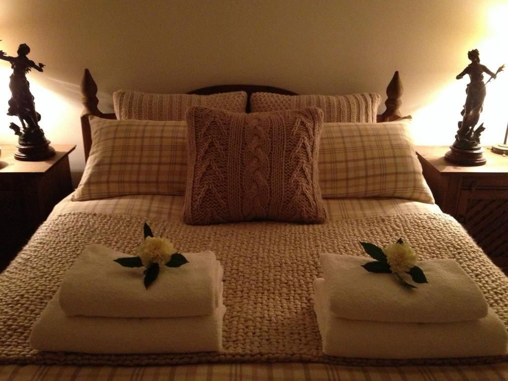 Snowdonia Snug - Studio Style Accommodation Dolgellau Exteriör bild