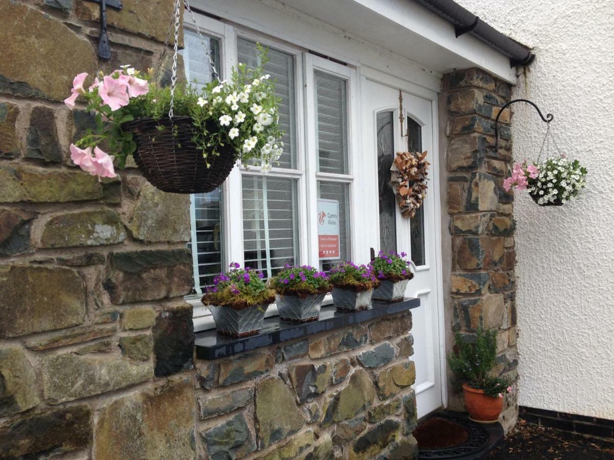 Snowdonia Snug - Studio Style Accommodation Dolgellau Exteriör bild